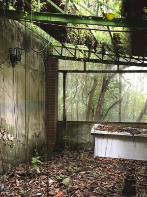 marylee Coll inside nature 2017